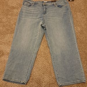 Light Wash Plus Size Jeans